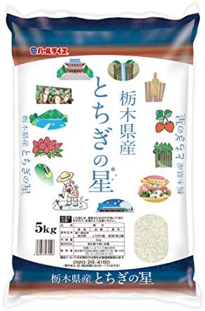 【精米】栃木県産 白米 とちぎの星 5kg