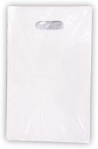 エヒメ紙工 小判抜き透明てさげ袋 B5 サイズ 100枚入 50ミクロン厚 S200-320