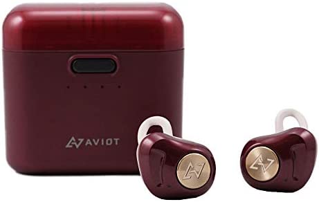 AVIOT アビオット 日本のオーディオメーカー TE-D01d Bluetooth イヤホン グラフェンドライバー搭載 完全ワイヤレス QCC3026チップ iPhon