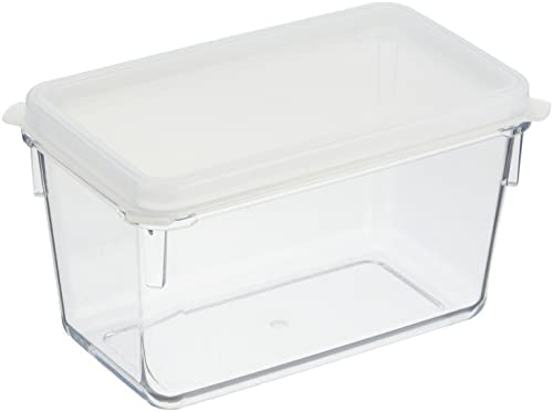 石川樹脂工業 業務用 保存容器 透明 食品用 密閉容器 クリア フードボックス コンテナ 本体フタセット 1.0L 160×89×95mm 食洗機対応 プ